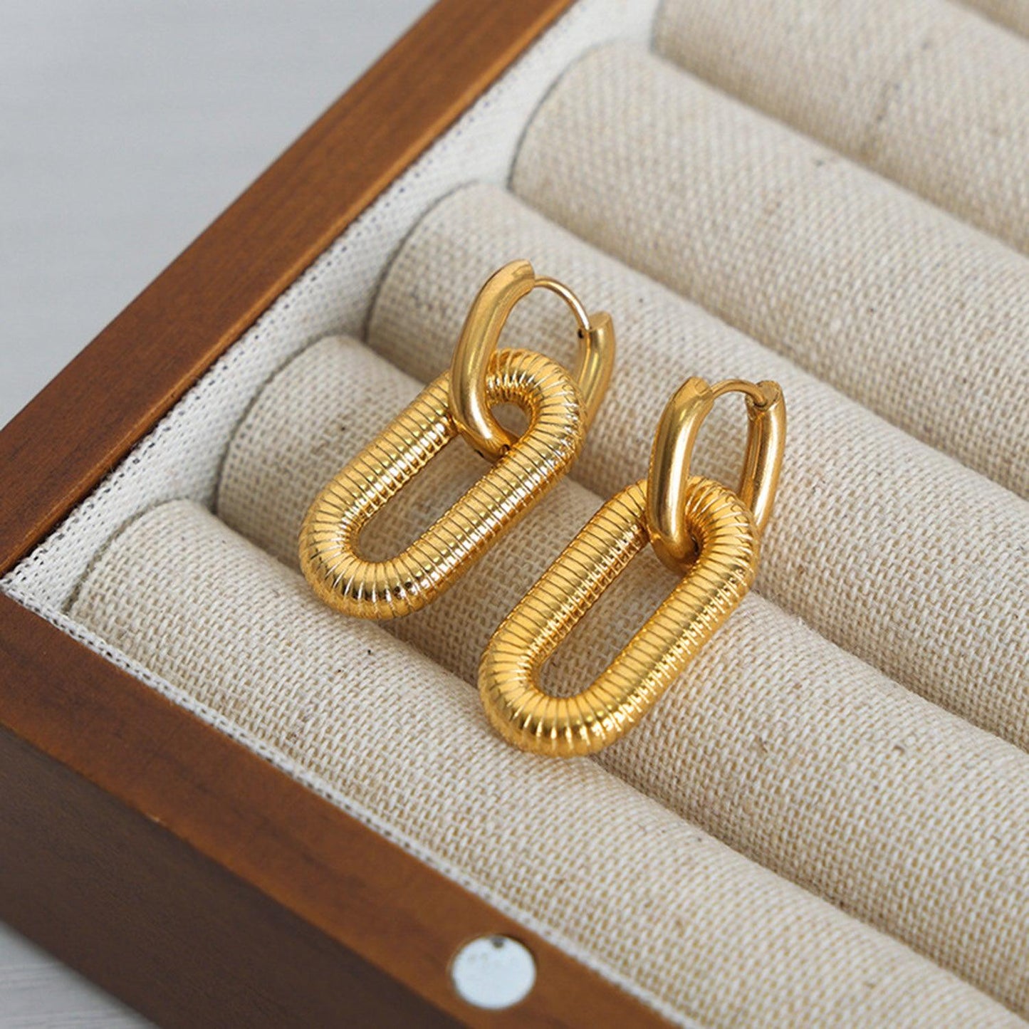 Titanium steel Dangle Earrings Carauana Store