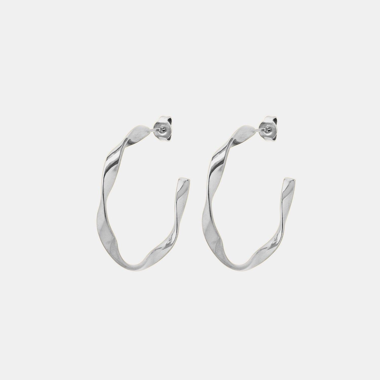 Titanium Steel C-Hoop Earrings Carauana Store