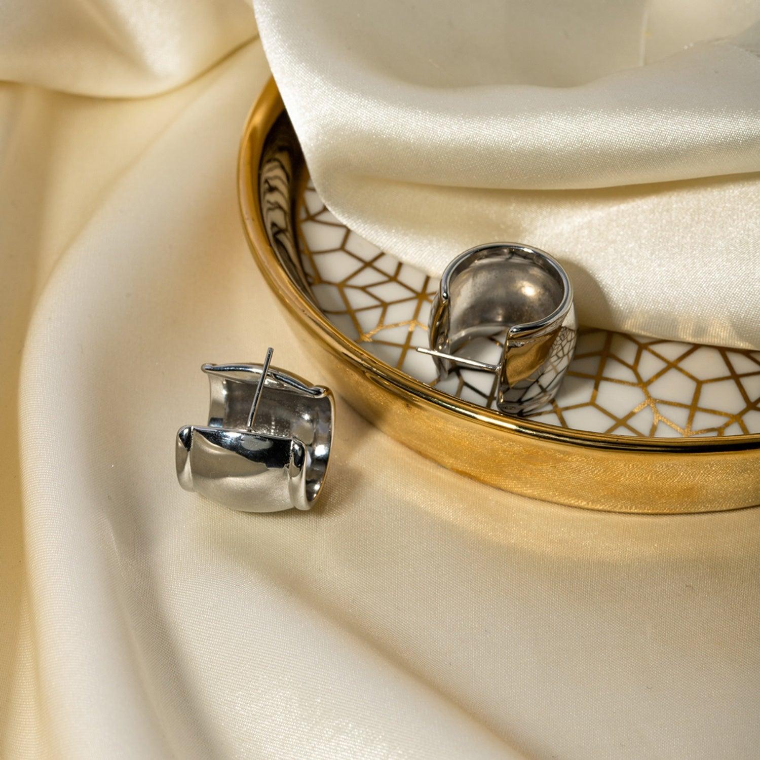 Stainless Steel C-Hoop Earrings Carauana Store
